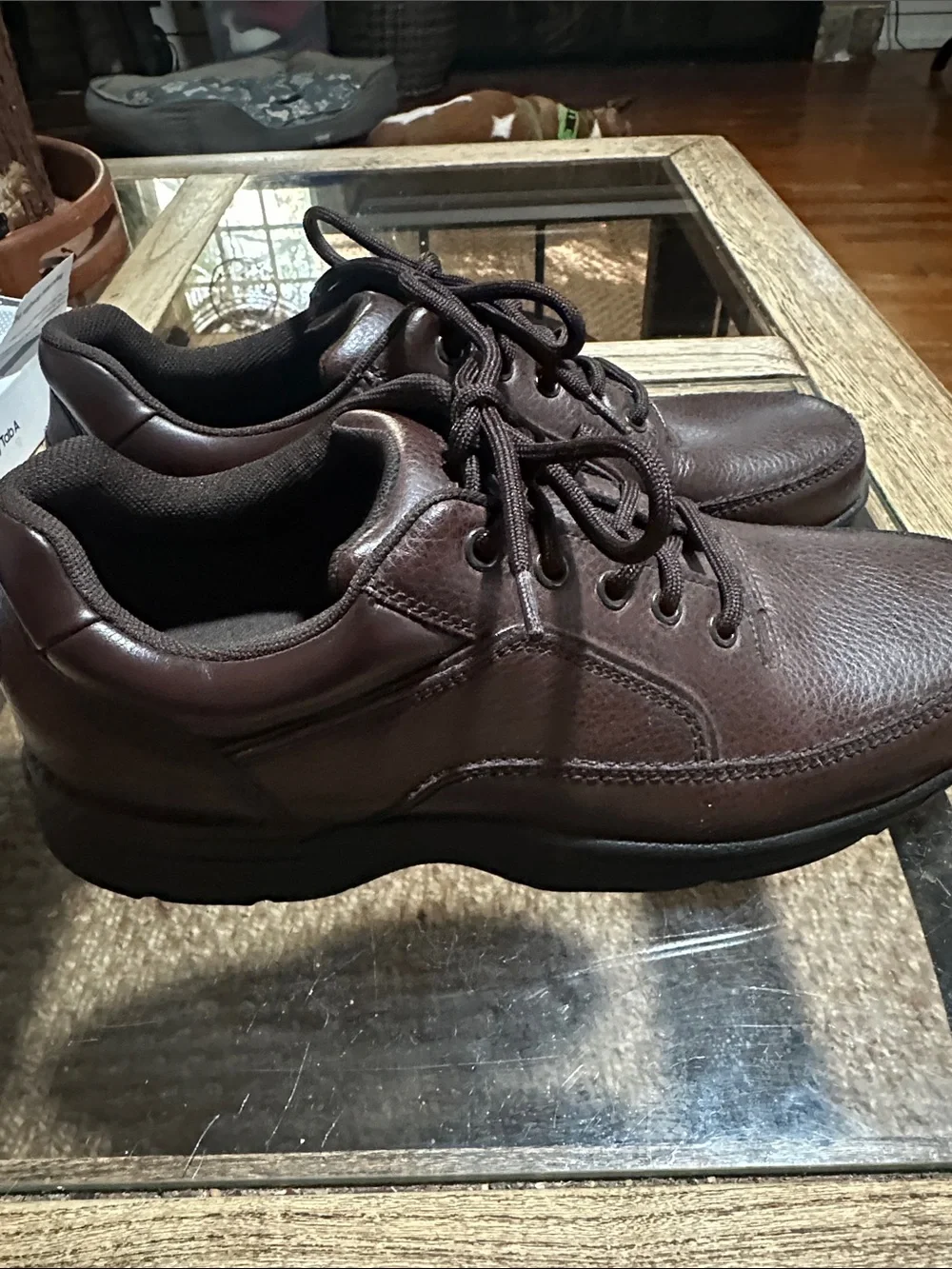 Rockport Eureka Men's Casual Lace-Up Leather Shoes - Dark Brown